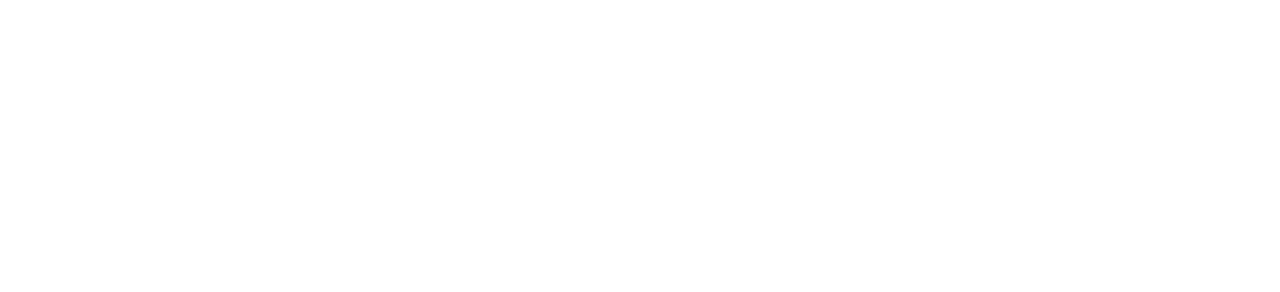 Celine Prestige
